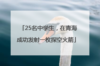 25名中学生，在青海成功发射一枚探空火箭
