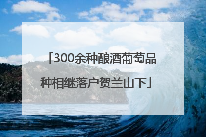 300余种酿酒葡萄品种相继落户贺兰山下