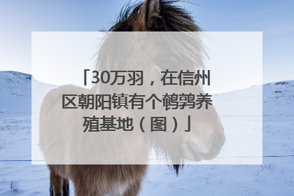 30万羽，在信州区朝阳镇有个鹌鹑养殖基地（图）