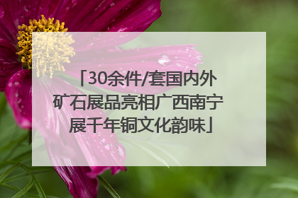 30余件/套国内外矿石展品亮相广西南宁 展千年铜文化韵味