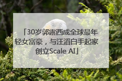 30岁郭露西成全球最年轻女富豪，与汪滔白手起家创立Scale AI