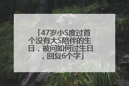 47岁小S度过首个没有大S陪伴的生日，被问如何过生日，回复6个字