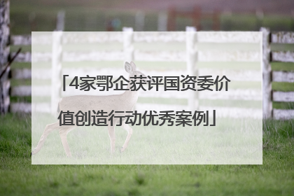 4家鄂企获评国资委价值创造行动优秀案例