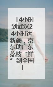 4小时到武汉24小时达新疆，京东助广东荔枝“鲜”到全国