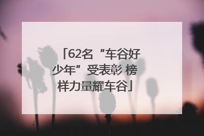 62名“车谷好少年”受表彰 榜样力量耀车谷