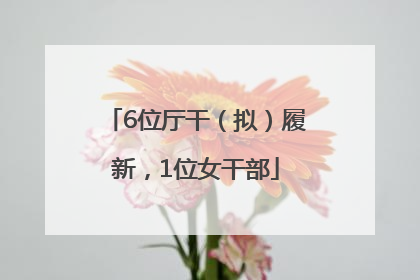 6位厅干（拟）履新，1位女干部