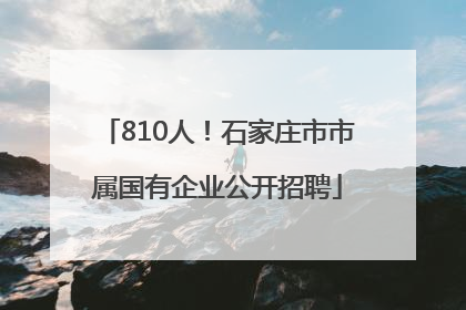 810人！石家庄市市属国有企业公开招聘