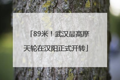 89米！武汉最高摩天轮在汉阳正式开转