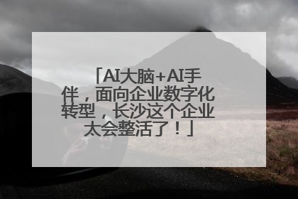 AI大脑+AI手伴，面向企业数字化转型，长沙这个企业太会整活了！