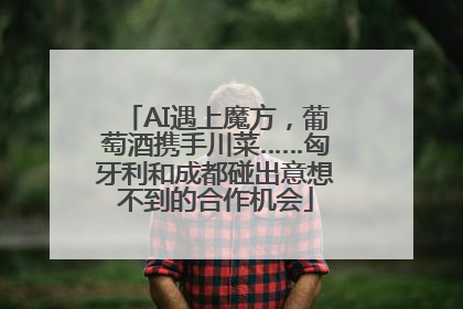 AI遇上魔方，葡萄酒携手川菜……匈牙利和成都碰出意想不到的合作机会