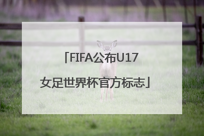 FIFA公布U17女足世界杯官方标志