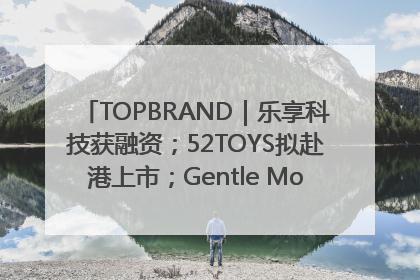 TOPBRAND｜乐享科技获融资；52TOYS拟赴港上市；Gentle Monster合作谷歌；Valentino传播官离职